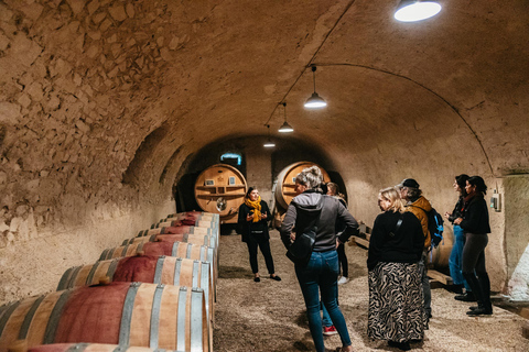 Från Lyon: Vinresa med provsmakning i Beaujolais-regionenFrån Lyon: Vinresa till Beaujolais-regionen med provsmakningar