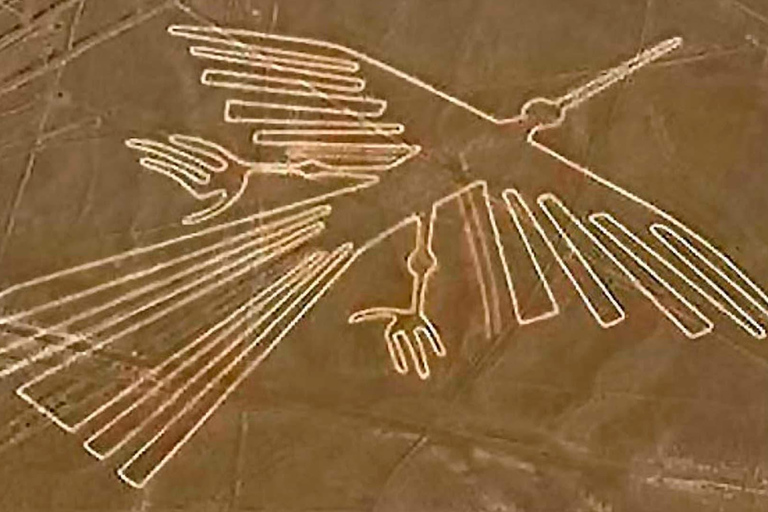 Sobrevuela las Líneas de Nazca: tour privado de día completo desde Lima.