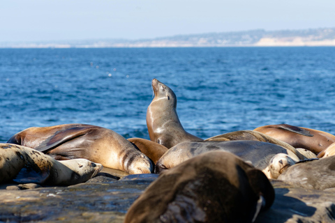 San Francisco: 4-Day VIP Tour with Coast Starlight Train