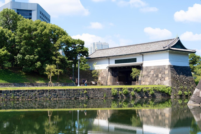 Tokyo: Edo Castle and Imperial Palace Guided Walking Tour Japanese guide