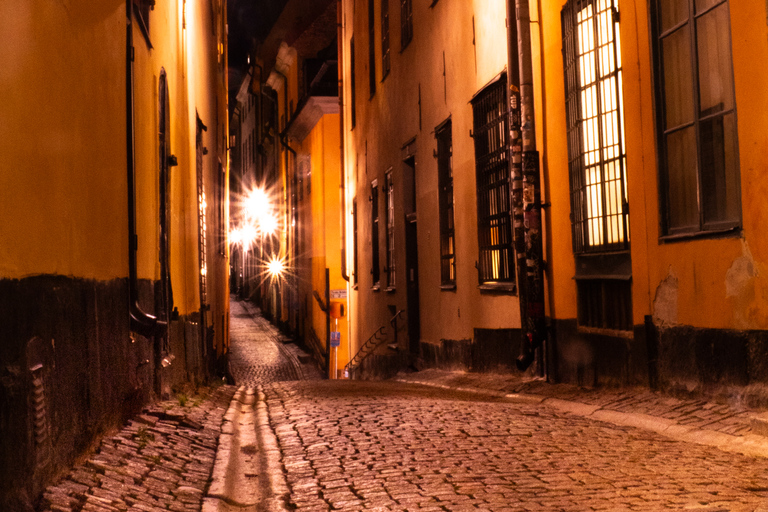 Stockholm, City of Lights Photo Tour