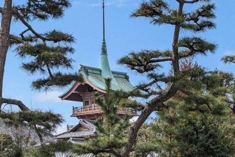 Kyoto ; visite historique privée à pied de 2,5 h