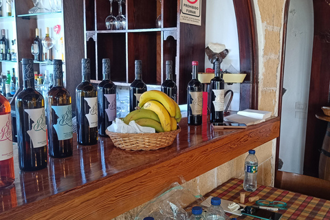 Desde Las Américas!VIP Wine tasting & Guachinche lunch 1200m VIP Wine Tour! Enjoy 7 wines in bodega & Guachinche lunch
