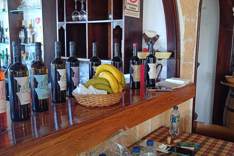 Desde Las Américas!VIP Wine tasting & Guachinche lunch 1200m VIP Wine Tour! Enjoy 7 wines in bodega & Guachinche lunch