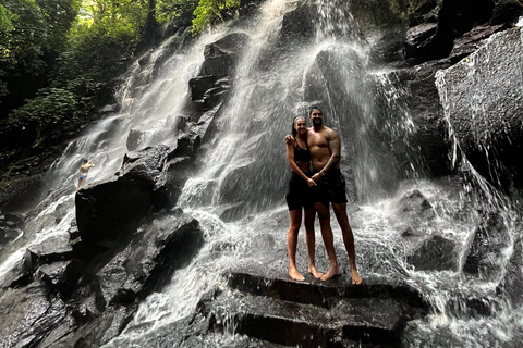 Discover Awesome Hidden Gems waterfalls Tour in Ubud Private Group with English Speaking Guide Tour