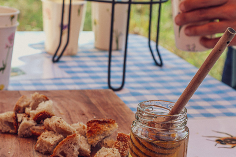 Ponta Delgada: Visita guidata all'apiario
