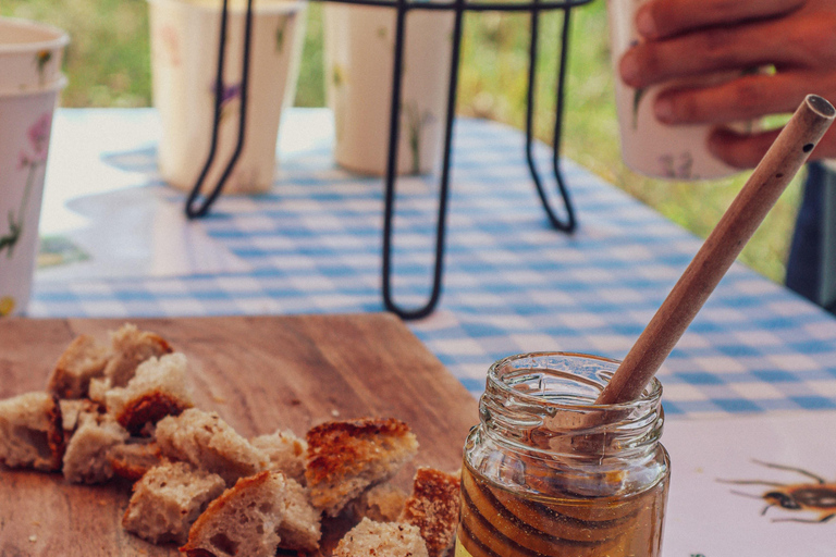 Ponta Delgada: Visita guidata all'apiario