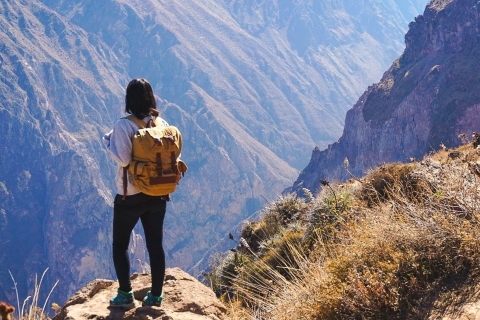 Von Arequipa: 2-tägiges Trekking durch das Colca-Tal