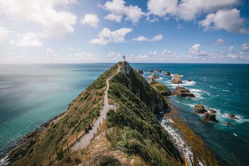 De Dunedin a Invercargill via Catlins (excursão só de ida)