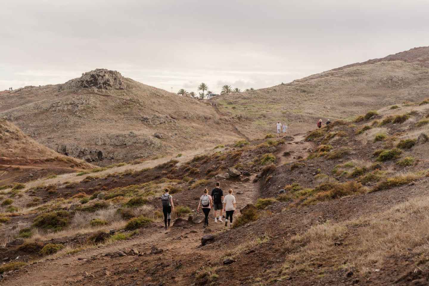 フンシャル発：カニサウからの世界遺産ポンタ・サン・ロウレンソ自分で楽しむハイキング