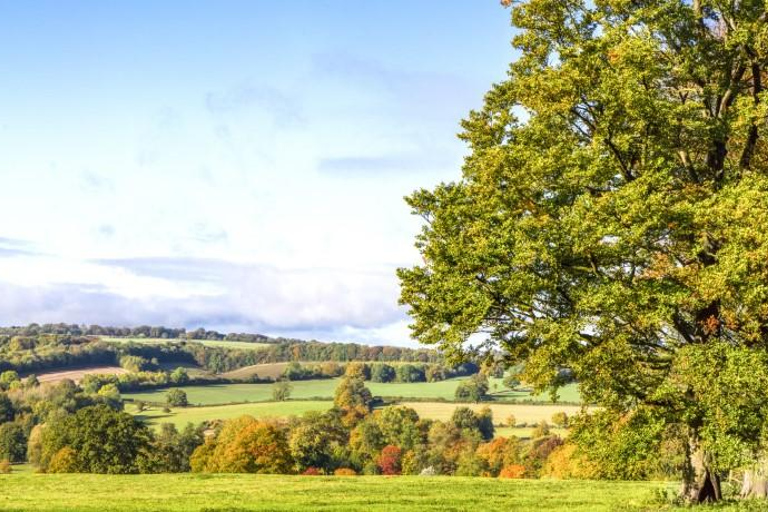 La Ultra Ruta de los Pueblos de Cotswold