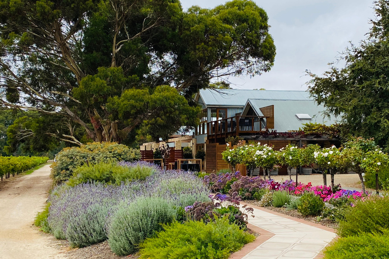 Seaford Rise: Langhorne Creek Crossing