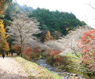 Toyota: Obara Washi Papermaking Experience Course