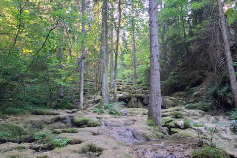 Sarajevo: Vrelo Miljacke River Source Eco Tour