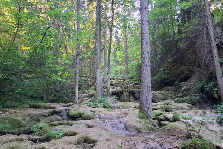 Sarajevo: Vrelo Miljacke River Source Eco Tour