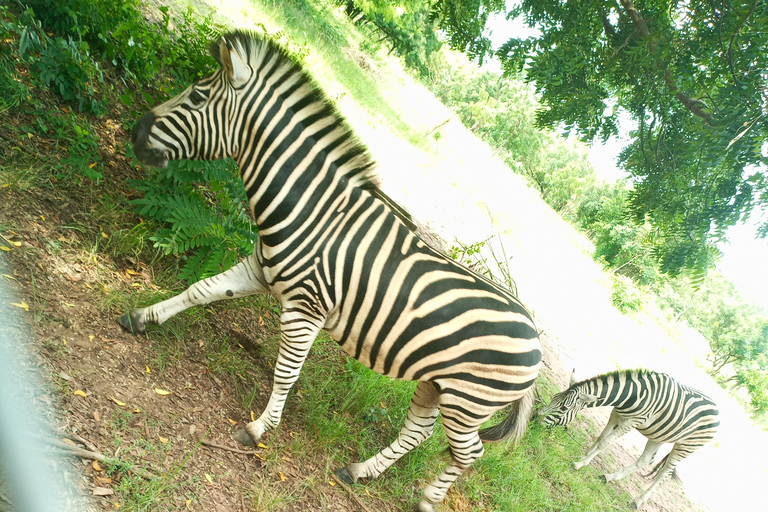 Accra: Shai Hills Resource Reserve Half-Day Tour