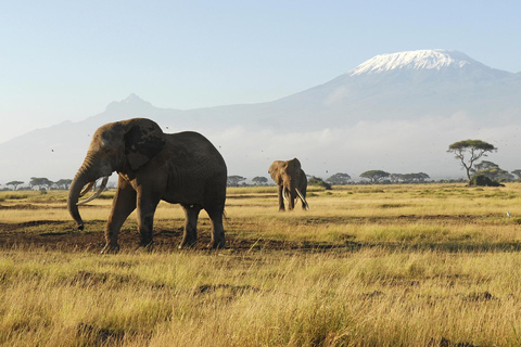 2 Days Group tour to Amboseli National Park(Mon-Wed-Sat)2 days group tour to Amboseli national park(Mon-Wed-Sat)