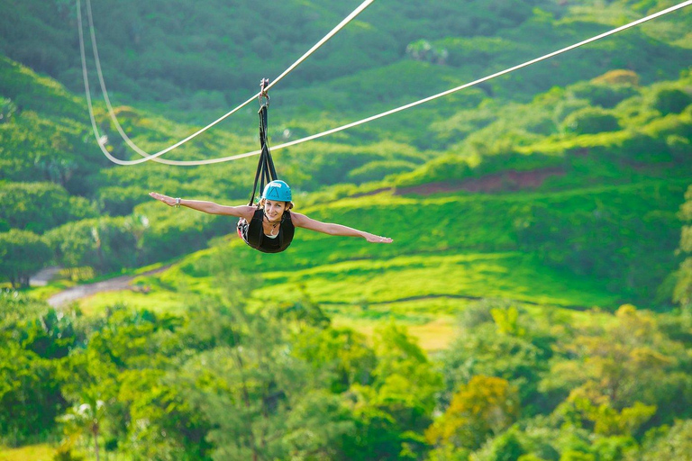 South Mauritius Tour with Crocodile Park & 23-Colored Earth