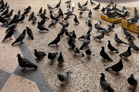 Inside Kampala walking tour (Female guided)