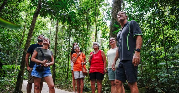 Port Douglas: Best of Daintree Rainforest Day Tour