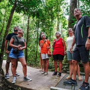 Port Douglas: Best of Daintree Rainforest Day Tour