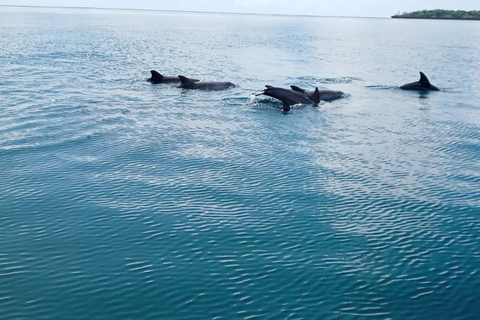 Mombasa: Scuba Diving Experience with Hotel Transfer