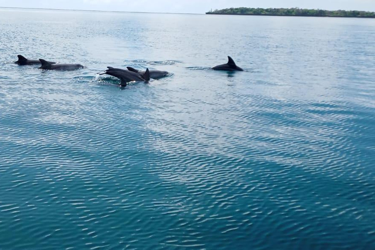 Mombasa: Scuba Diving Experience with Hotel Transfer