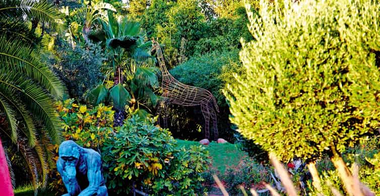 Anima garden half day trip with camel ride | GetYourGuide