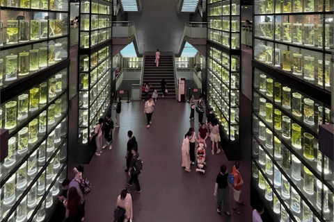 Guangzhou: Traditional Chinese Medicine Museum Admission