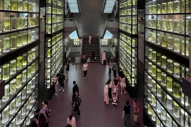 Guangzhou: Traditional Chinese Medicine Museum Admission