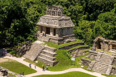 Palenque Archaeological Site Guided Walking Tour Shared Group Tour