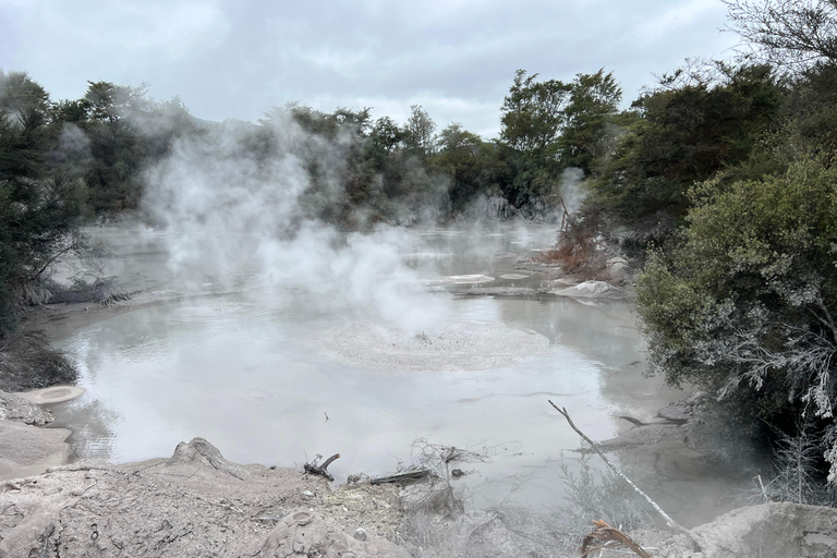 WHAKAREWAREWA - Das lebende Maori-Dorf - Gruppentour ab AKL