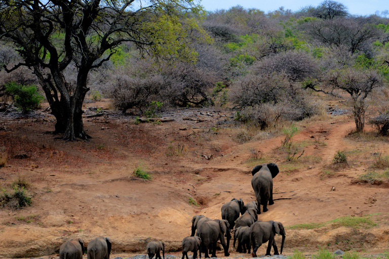From Kandy: 4-Day Sri Lanka Hill Country Tour with Udawalawe