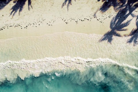 Maasai-Dorf und heiße Quelle Kikuletwa von Arusha aus
