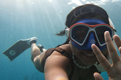 Puerto Princesa : Observation des requins-baleines à bord d&#039;un yacht avec déjeuner