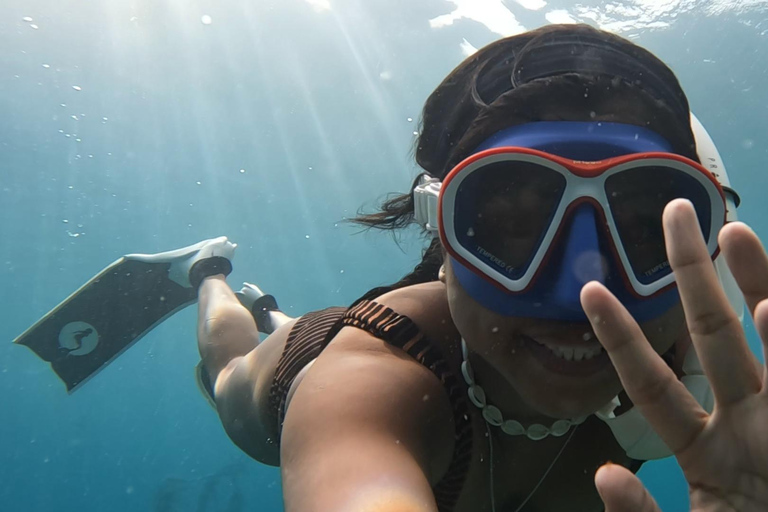 Puerto Princesa : Observation des requins-baleines à bord d&#039;un yacht avec déjeuner