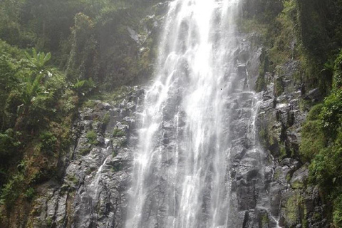 Materuni Waterfalls & coffee farm Day-Tour in Moshi Materuni Waterfalls Day Trip