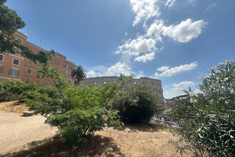 Small Group Guided Tour Colosseum Roman Forum, Palatine Hill Standard Tickets