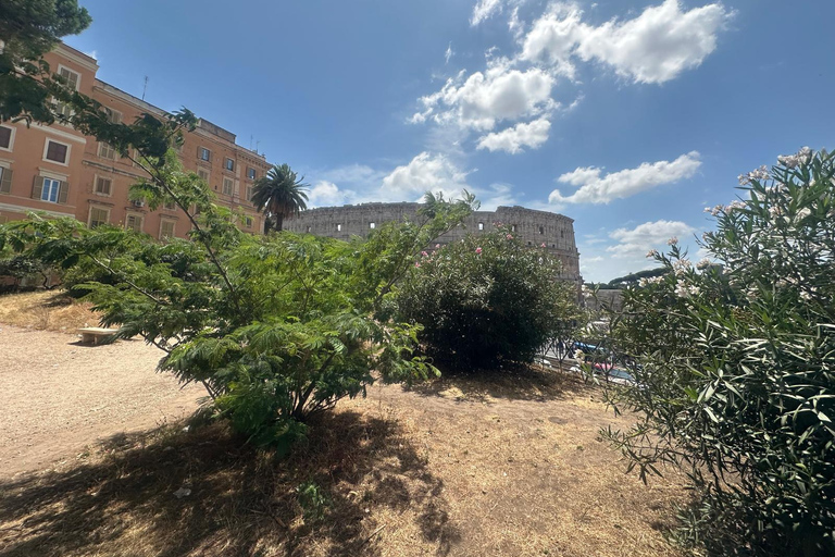Small Group Guided Tour Colosseum Roman Forum, Palatine Hill Standard Tickets