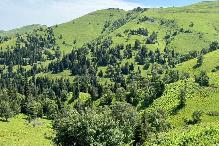 Kutaisi: From the Wild Caucasus Mountains to the Black Sea