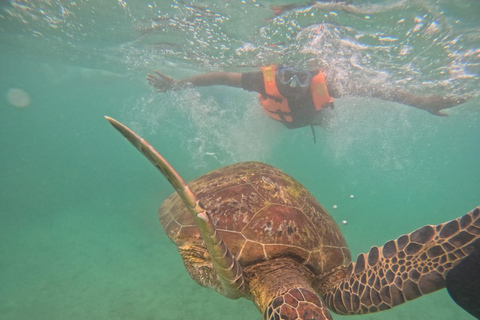 Mirissa Snorkeling Trip with Sea Turtles & Coral Reef