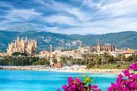 Palma de Mallorca på 1 dag: Rundvandring med digital guide9,95 € - Enkelbiljett