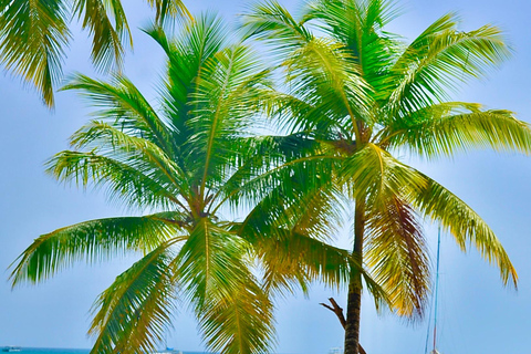 Punta Cana: Island escape to Saona, catamaran & beach lunch Punta Cana: Catamaran Party Cruise | Open Bar & Snorkeling