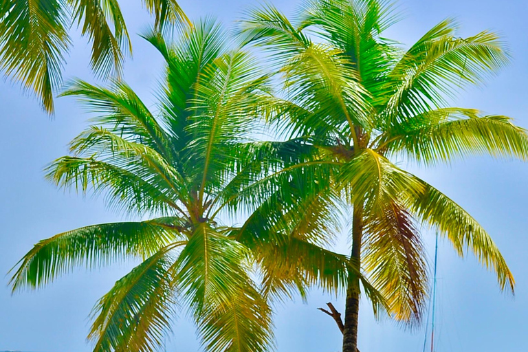 Punta Cana: Island escape to Saona, catamaran & beach lunch Punta Cana: Catamaran Party Cruise | Open Bar & Snorkeling