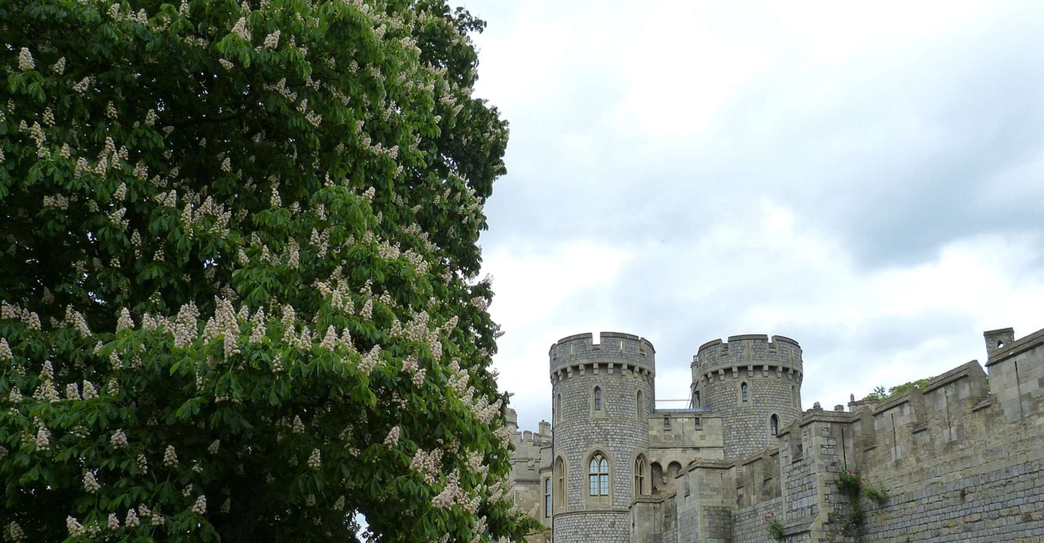 Royal Windsor Castle Tour Private including tickets - Housity