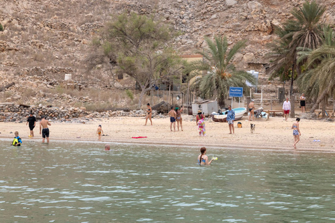 From Dubai/Sharjah/RAK: Musandam Dibba Day Cruise