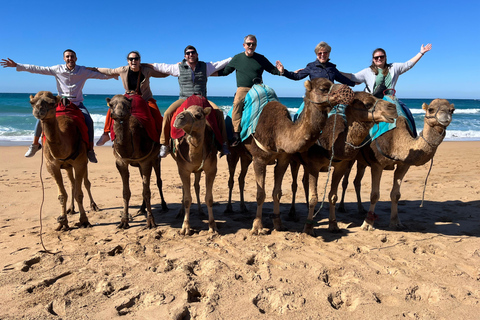 Sunset with Camel ride in Tangier ends with walking tour