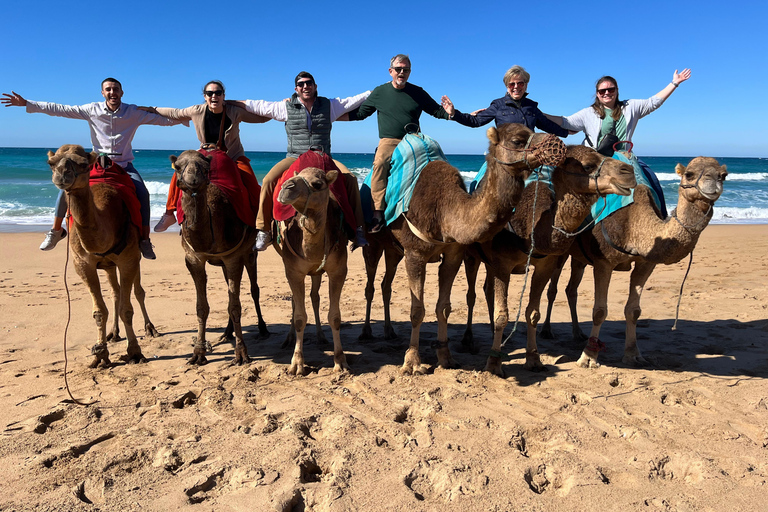 Sunset with Camel ride in Tangier ends with walking tour