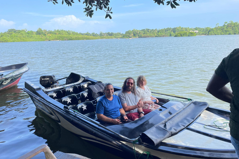 Galle Fort, Sea Turtles & Jungle Beach Private Day Tour