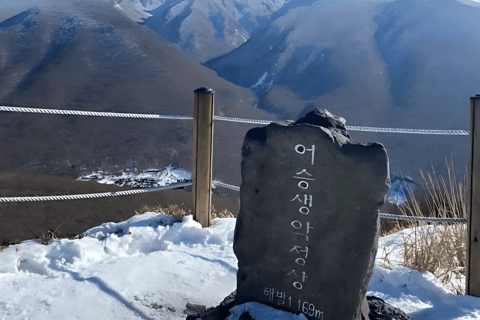 Jeju: Winter SouthWest Tangerine Pick, Snow, Camellia, Tour